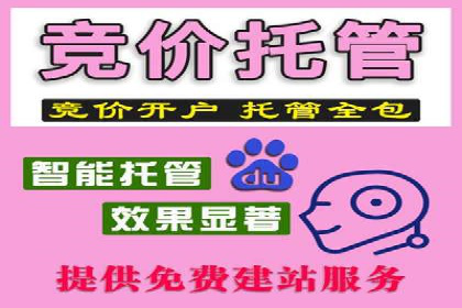 案例解读：百度推广代运营公司助力行业翘楚