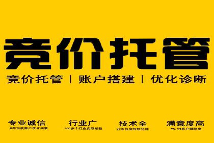 SEM竞价培训实战案例：提升广告转化率的关键技巧